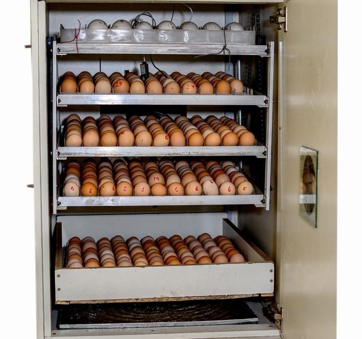 How HASTEC Incubators Work: Designed for Nigeria’s Power Reality